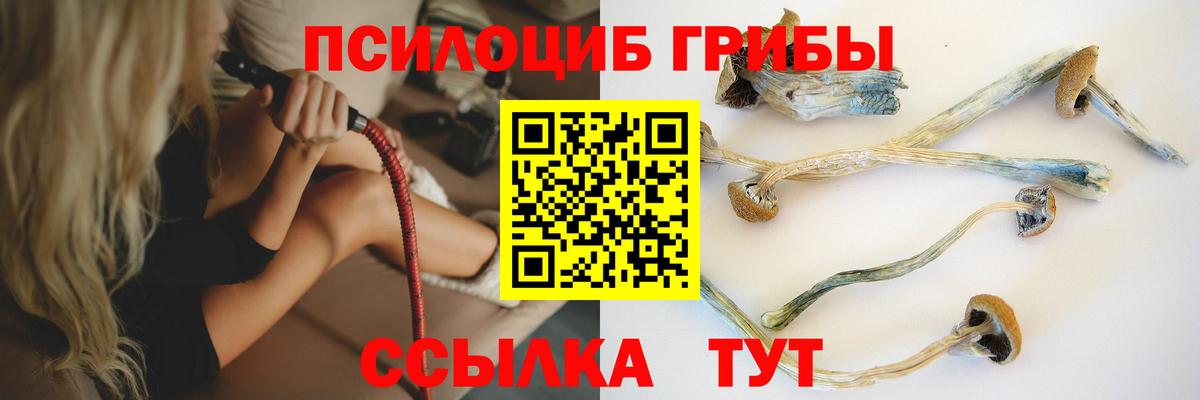 Галлюциногенные грибы мицелий Удомля